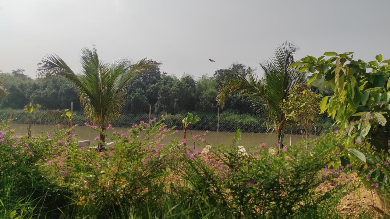 Homestay Dat Viet Cát Tiên Eksteriør bilde