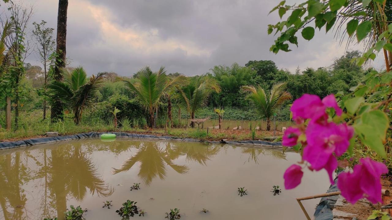 Homestay Dat Viet Cát Tiên Eksteriør bilde